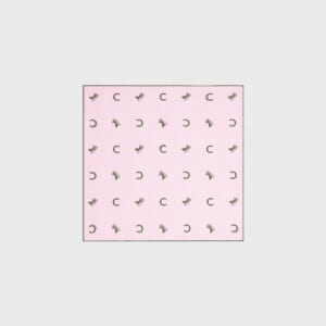 バンダナ / シルクツイル